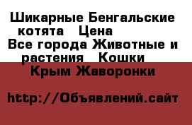 Шикарные Бенгальские котята › Цена ­ 25 000 - Все города Животные и растения » Кошки   . Крым,Жаворонки